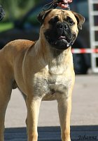 Porthos 9 months