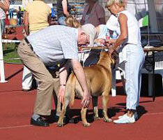 Porthos EST Winner -06 