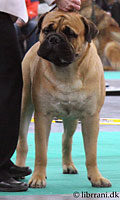 Porthos WW-06 
