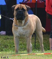 Porthos Speciality 2007