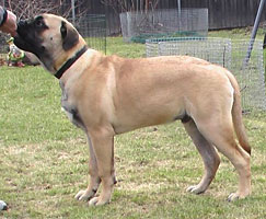 Porthos 5 months