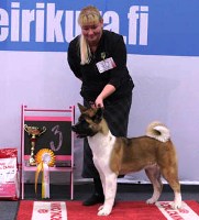 Puma RYP3-pentu/BIG3-puppy LOHJA 071110 Puma RYP3-pentu/BIG3-puppy LOHJA 071110