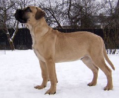 Ramses 4 kk/months