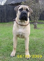 Ramses 6,5 kk/months