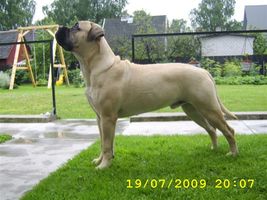 Ramses 9 months
