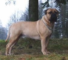 Ramses 14 months