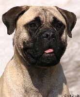 Ronja 8 kk/months
