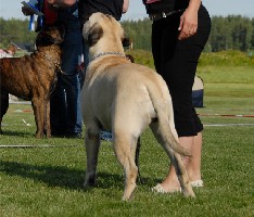 Ronja 10 months