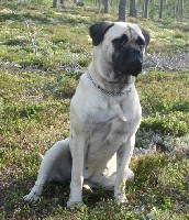 Ronja 11 months