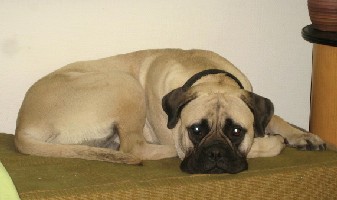 Ronja 14 kk/months