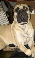 Ronja 15 kk/months