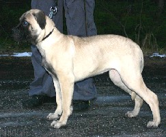 Ronja 3,5 months