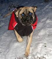 Ronja 4 months