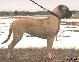 Ronja 6,5 months