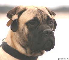 Ronja 6,5 months