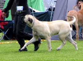 Ronja 240508 Ronja 240508
