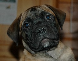 Saida 10 weeks