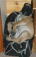 Saida 10 weeks