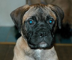 Saida 11,5 weeks