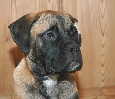 Saida 4,5 months