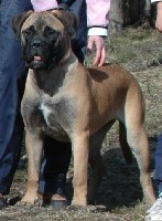 saida 7,5 months Saida 7,5 months