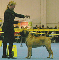Saurus Finnish Winner 2006