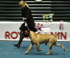 Estonian Speciality 2008