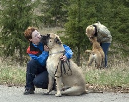 Saurus & Urho obedience 2007