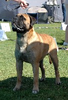 Saurus 3,5 vuotta/yrs