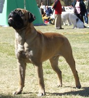 Saurus BOB Harjavalta 5.2007