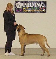 Saxon Turku INT 2006