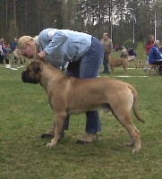Saxon Harjavalta 2006 
