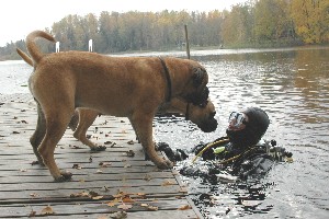 Monster of the lake