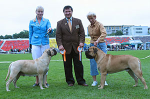 Selma & Porthos Lithuanian Molossen Winners 2006