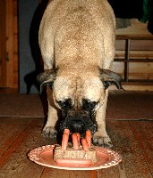 Selma syntt&auml;reill&auml;/birthday