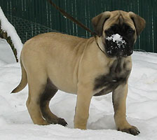 Selma at February 2003