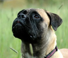 Signe 10 months