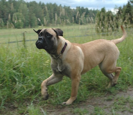 Signe 10 months