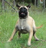 Signe 10 months