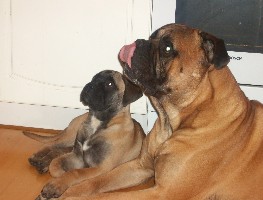 Signe 3 months & Hansson