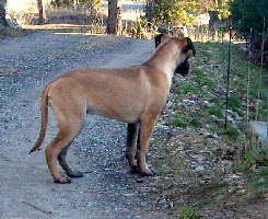 Signe 4,5 months