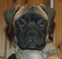 Siiri 10 weeks