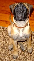 Siiri 12 weeks