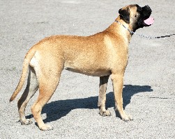 Siiri 8 months