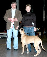 Siiri BOB-puppy 020308 Siiri BOB-puppy 020308