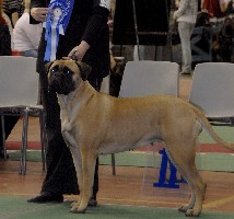 Siiri Lahti INT 4.2009