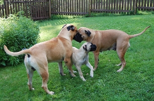 Pesonen + Hilja & Siiri 06.2010