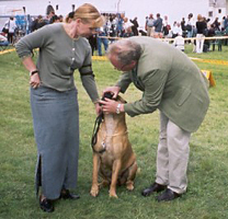 Sylvi Padise 2001