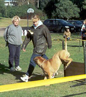Sylvi