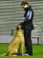 Taisto & Minna 2.2011